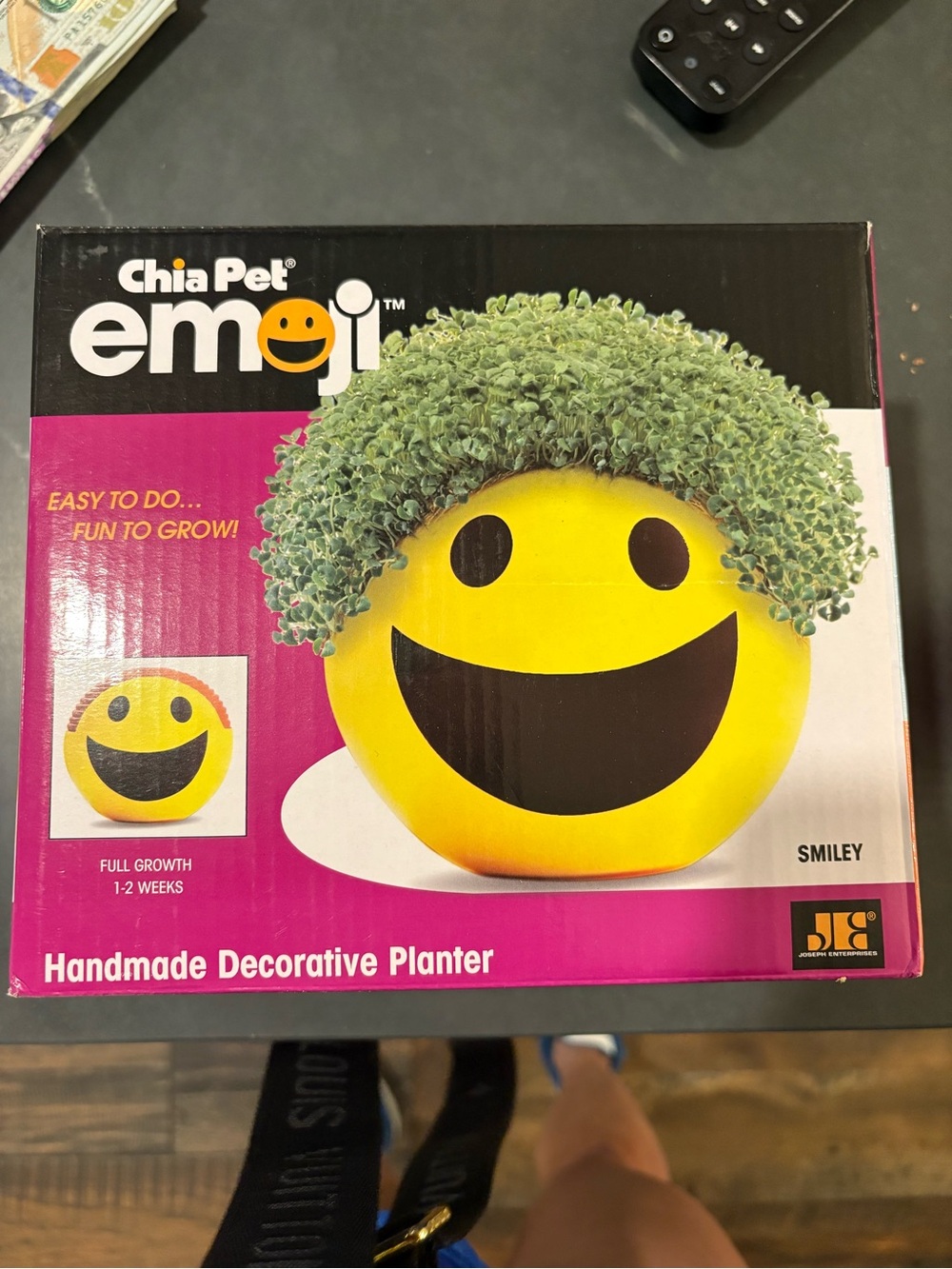 Chia Pet Emoji Smiley Handmade Decorative Planter - Yellow